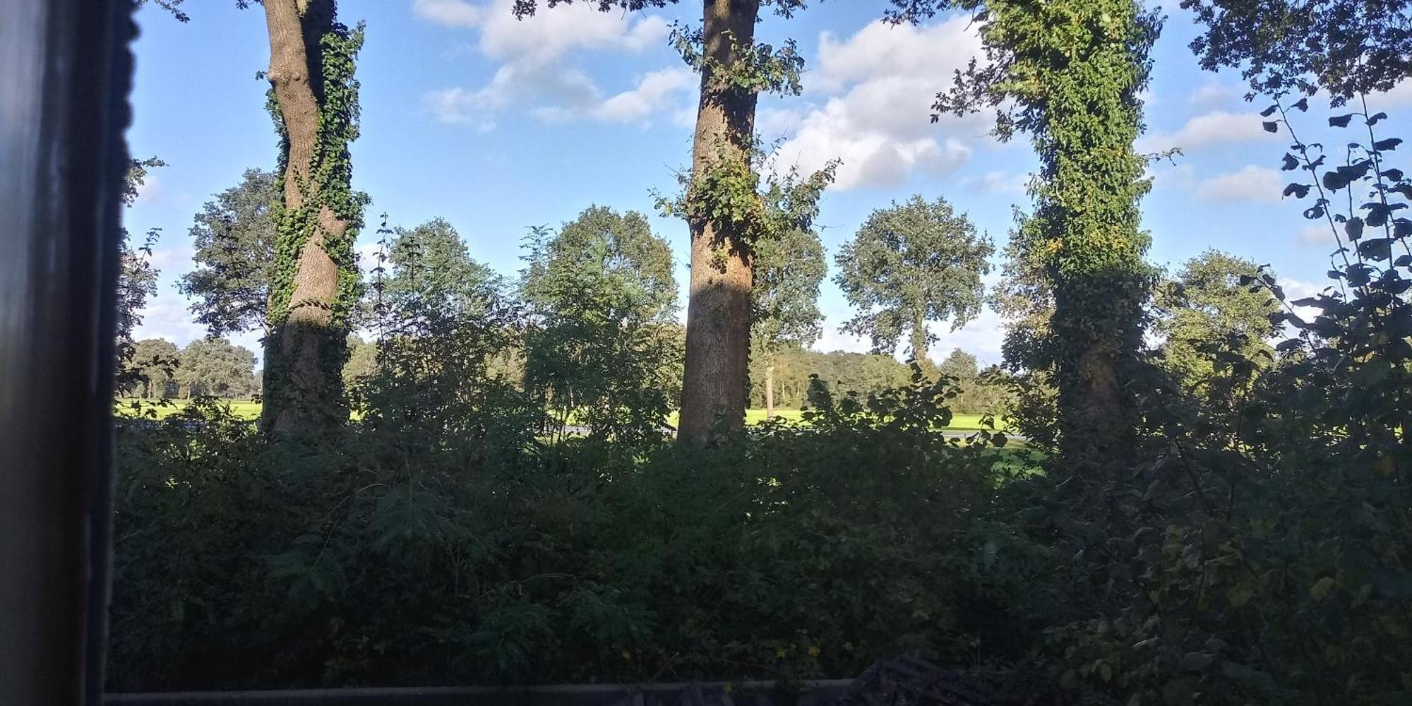 Boerderij De Aarnink Leilighet Heeten Rom bilde